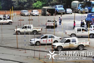 学员与驾校绑定在一起 驾照自学自考没想象容易