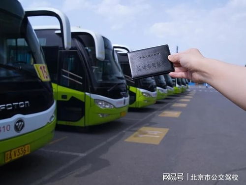 暑假学车,你和凉爽感就差这几招