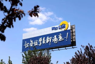 重要通知 国内唯一主板上市驾校落户淄博