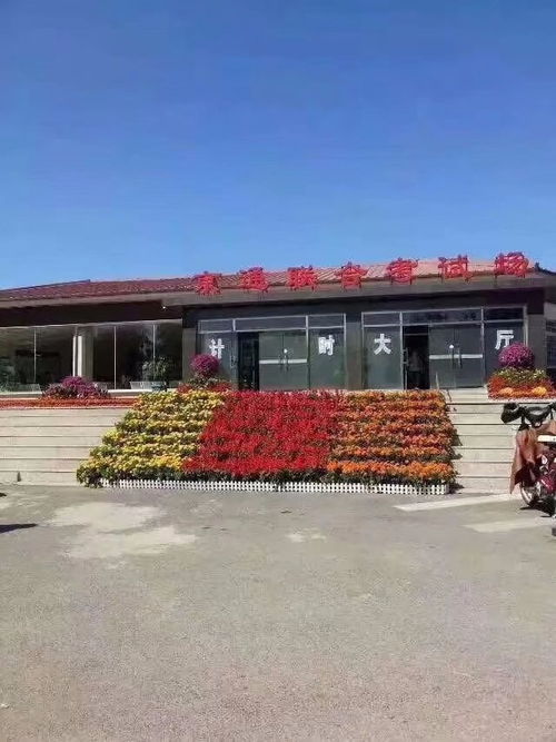 图 三星驾校全面招生 快速拿本、服务优质、无乱收费的北京驾校选择