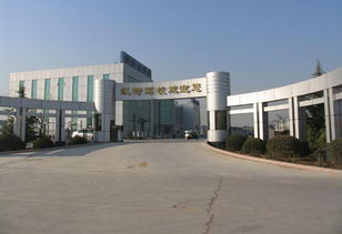 北京丰台区四大驾校实力点评与选择指南